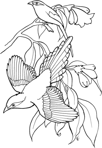 Green Magpies Coloring Page